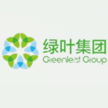 绿叶集团